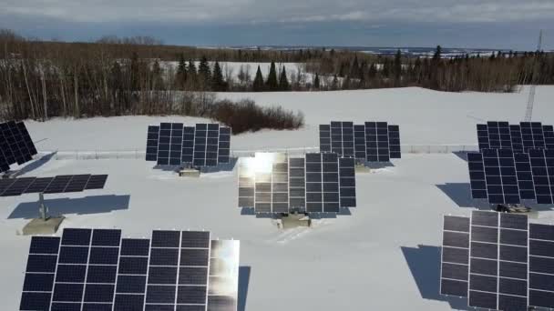 Solární Panely Slunečného Zimního Dne Solární Farmě New Liskeardu Ontario — Stock video