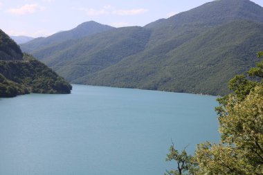 Young model posing for a family album.