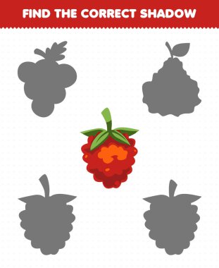 Education game for children find the correct shadow set of cartoon fruit raspberries
