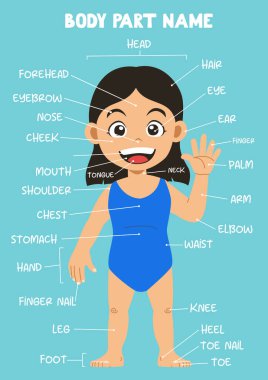Name of cute cartoon girl human body part for kids in english