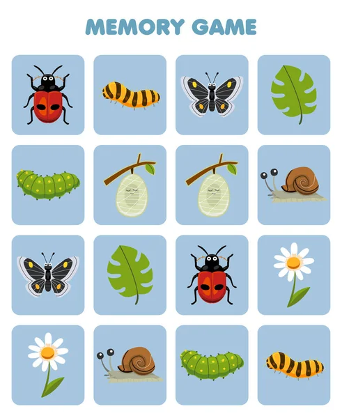 Education Game Children Memory Find Similar Pictures Cute Cartoon Ladybug — 图库矢量图片