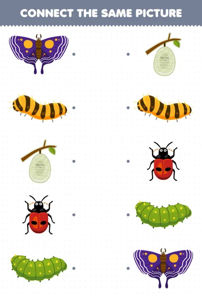 Education Game Children Connect Same Picture Cute Cartoon Butterfly Silkworm — 图库矢量图片