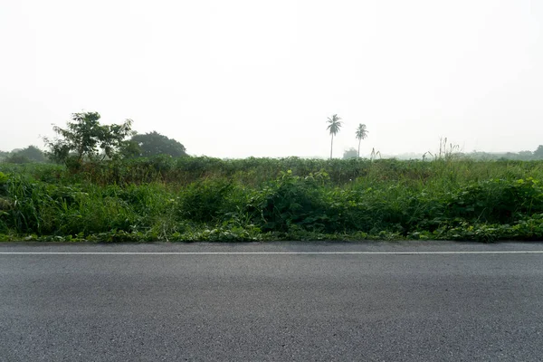 Horizontální Pohled Asfaltovou Silnici Ráno Thajsku Čerstvé Zelené Stromy Travnaté — Stock fotografie