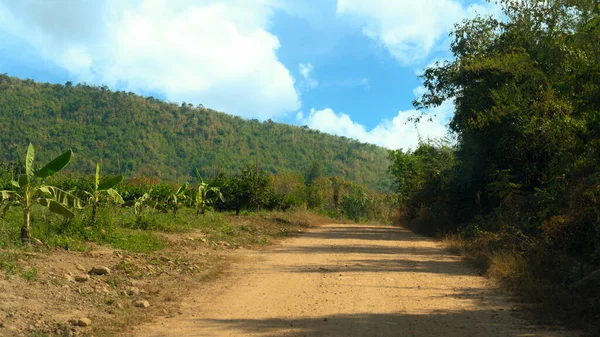 Path is a dirt road that leads up the hill straight ahead. background of two side with bamboo and banana trees. and blurred of green forest.