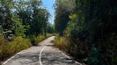Path of a small asphalt road with forward bends. On both sides of the road there are trees and green grass.