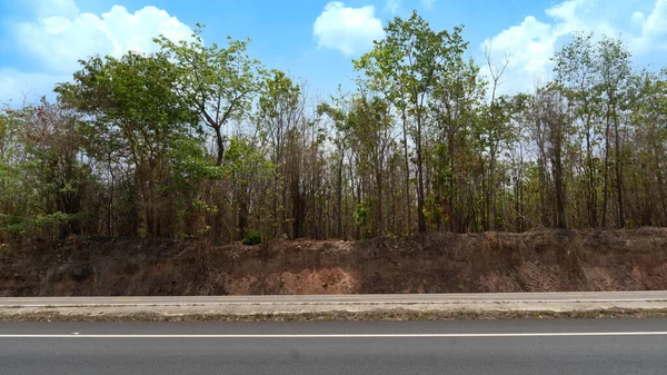 タイ王国のアスファルト道路の水平方向のビュー 夏の平行な地面のパスと木の森の背景 青空の下で — ストック写真