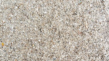 Sütlü beyaz çakıl taşının üstünde. arkaplan ve desenli.