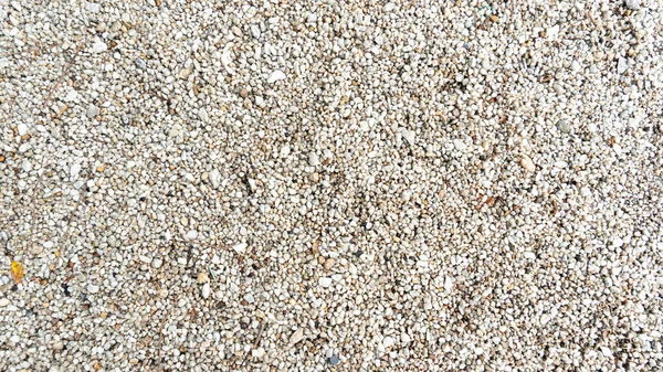 View Milky White Fine Pebble Stone Background Textured — Stock Photo, Image