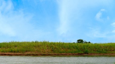 Yeşil çimenli, geniş arazili, yatay görüş alanı. Nehir manzaralı. Beyaz bulutların ve mavi gökyüzünün arkaplanı.