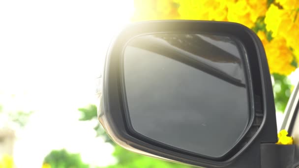 汽车的镜翼停在黄杉树下 灿烂的黄色花朵在微风中摇曳 — 图库视频影像
