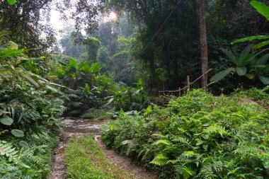 Chae Son Şelalesi 'nden geçen feribotun yolu boyunca süzül. Altıncı seviye şelale. Çimlerle ve sık ormanlarla kaplı. Chae Son Ulusal Parkı Tayland 'da..