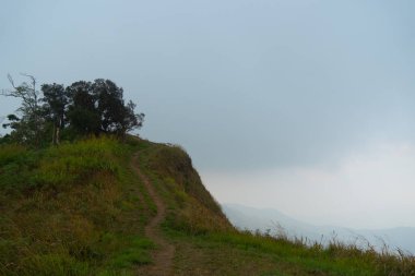 Her iki tarafı da yeşil çimlerle kaplı yürüyüş yolu. Rota, Phu Nom 'un dağın zirvesine çıkıyor. Sis ve soluk dağlarla arka plan görüntüsü. Tayland 'ın Phu Langka Phayao Eyaletinde. 