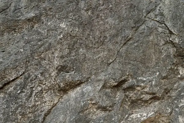 Taş zemin eşsiz pürüzlü bir yüzeye ve açık renge sahiptir. Arkaplan ve doku için.