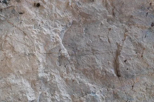 Taş zemin eşsiz pürüzlü bir yüzeye ve açık renge sahiptir. Arkaplan ve doku için.