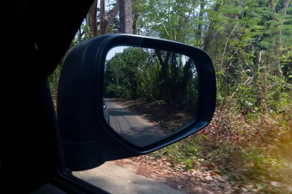 View from the car\'s side mirror to the road and forest. Drving fast speed can see green glass beside road.