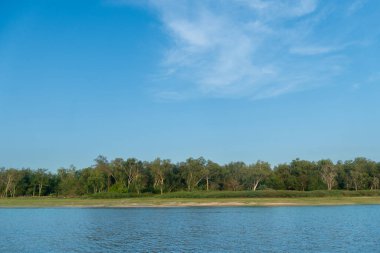Nehrin yatay ve manzaralı görüntüsü. Sahilin arka planında otlar ve ormanlar var. Mavi gökyüzünün ve yumuşak beyaz bulutların altında.