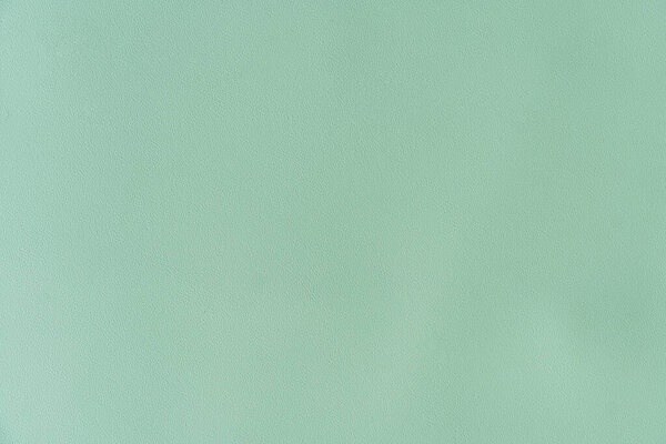 Above view of background is rough soft green color. for background and textured.