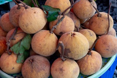 Markette, Tayland 'da Santol meyvelerinin yan görüntüsü. Yığını konteynırın üstüne koy..