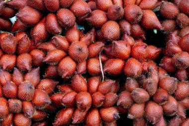 Allah 'ın ya da Zalacca' nın üzerinde ticaret için bir yığın yer var. Tayland 'da pazarda meyveler.