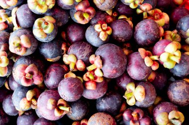 Mangosteen 'in üstünde ticaret için bir yığın var. Mangosteen, Tayland 'da bir meyve kraliçesidir..