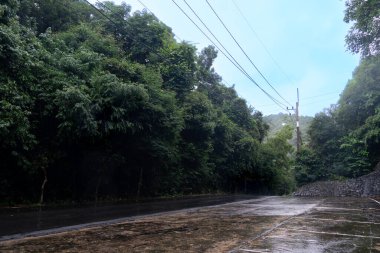 Yağmurlu asfalt yolu yatay ve manzaralı. Onun yanında yoğun bir yeşil orman var. Betonun önü. Yolun üstünde elektrik direği ve kabloyla. Yağmurdan sonra gökyüzünün altında.