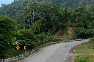 Direk tepelere giden asfalt yol. Her tarafı yemyeşil ormanlarla kaplı. Dağdaki kıvrımlı tepe. Mae Ngao Mae Hong Tayland 'ın Oğlu.