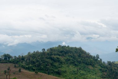Yeşil bitki örtüsü ve kuru, kahverengi bölgeleri olan tepe manzarası. Ağaçlar bulutlu bir gökyüzünün altındaki yamaçları seyrek olarak noktalar. Tak Tayland 'da.