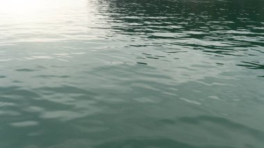 Su denizinin soyut dalgalanmaları ve yansımaları. Suyun soluk yeşilimsi gri bir tonu vardır ve yüzey yumuşak bir akış gösterir. Su dokusuna ve ince hareketlere odaklan..