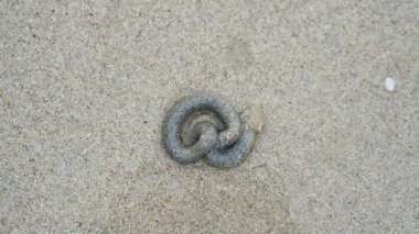 Yengeçlerin kazıp çıkardığı kum izlerinin üzerinde uzun bir yol var. Islak kumda kıvrımlı bobinler.