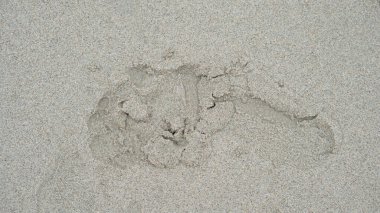 Kumlu sahildeki insanların tek ayak izlerinin üzerinde. Islak plajın arka planı ve dokusu için.