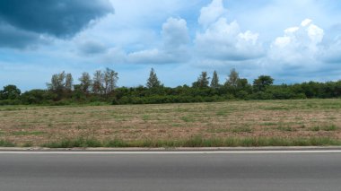 Asfalt yolun yatay ya da manzarası. Tarım için sürülmüş bölge. Yoğun ormanlar ve otlaklar. Mavi gökyüzünün altındaki yeşil ormanın arka planı ve arka plan için beyaz bulutlar.