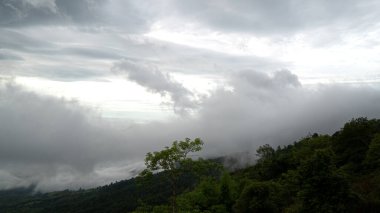 Siluet orman zemini sabah dağı kaplıyor. Phu Thap Boek, Phetchabun Tayland 'da güzel beyaz tüylü bulutlar.