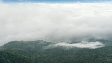 Dağları kaplayan yoğun orman zemini. Uzakta güzel pofuduk beyaz bulutlar. Phu Thap Boek Phetchabun Tayland 'da.