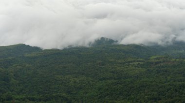 Dağları kaplayan yoğun orman zemini. Uzakta güzel pofuduk beyaz bulutlar. Phu Thap Boek Phetchabun Tayland 'da.