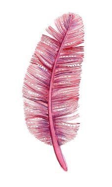 Hassas pembe tüyler. Suluboya. Dekoratif stil. Nazik ve hoş..