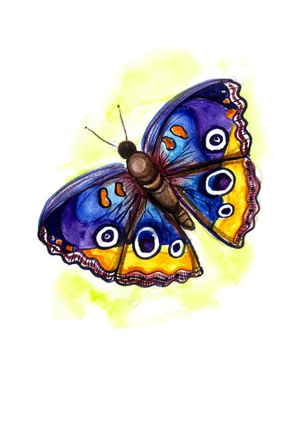 Farfalla Realistica Blu Gialla Sfondo Giallo Sfocato Acquerello Pittura — Foto Stock