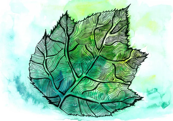The leaf is drawn with black lines and wavy strokes in different directions. Placed on a green background with a watercolor blur.