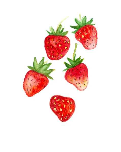 Aquarellzeichnung Einer Erdbeere Auf Weißem Hintergrund — Stockfoto