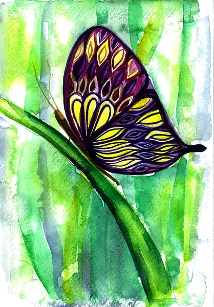 Бабочка Профиль Траве Акварель Трава Заднем Плане — стоковое фото