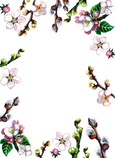Quadro Vários Botões Flores Primavera Fundo Branco Aquarela Cores Brilhantes — Fotografia de Stock
