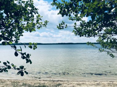 Yaz manzarası. Su, sahil, kum. Ön planda ağaç dalları. Mavi gökyüzü bulutlarla kaplı..