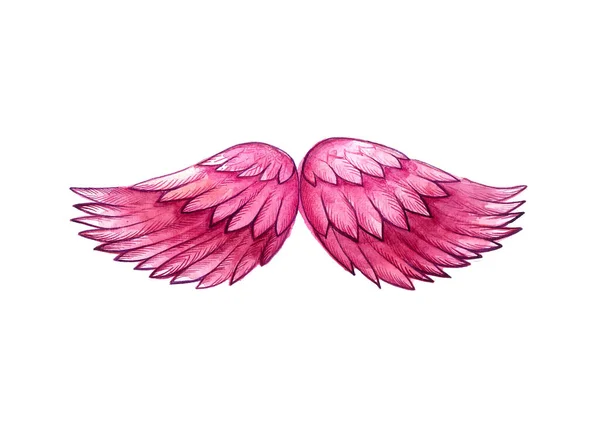 Wings Pink Darker Purple Outline Watercolor Blur Feather Texture White — Stock Photo, Image