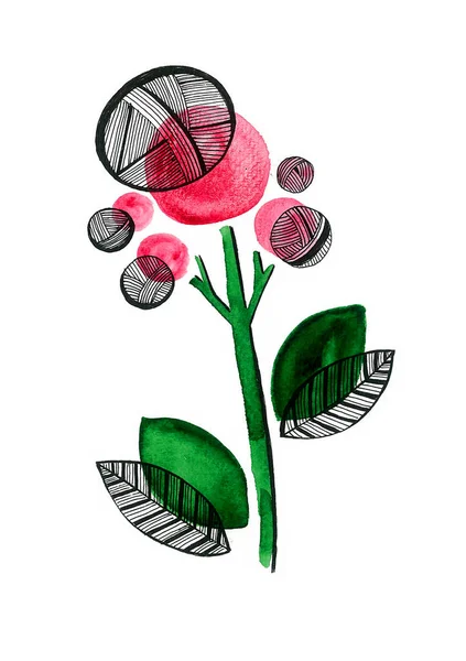 Virág Elszigetelt Fehér Háttérrel Dekoratív Rózsaszín Kerek Virágok Zöld Hajtás — Stock Fotó