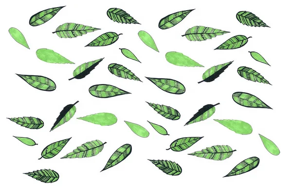 Beyaz Arka Planda Yeşil Yapraklar Farklı Şekil Boyutlarda Yapraklar Bazılarının — Stok fotoğraf