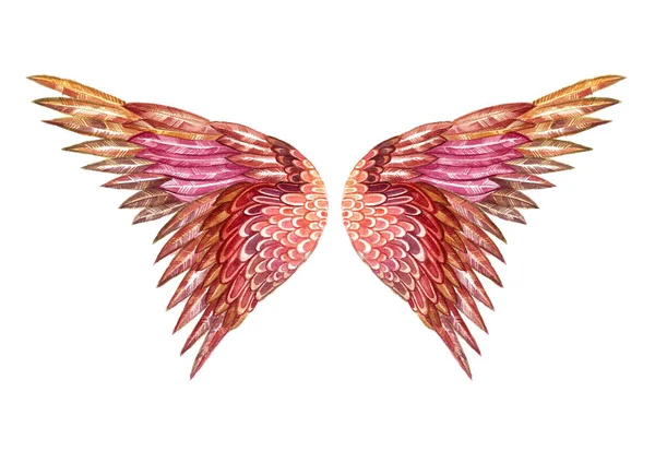 翼の詳細 羽の形が違う 優しいパステルカラー ピンク オーカー ブラウン 白地だ 水彩画 — ストック写真