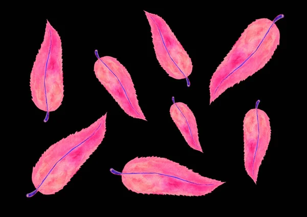 Las Hojas Rosadas Diferentes Tamaños Forma Alargada Están Decoradas Caóticamente — Foto de Stock