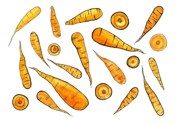 홍당무는 바탕에서 수있다 크기가 당근은 오렌지색이며 모양으로 자른다 테두리가 있습니다 — 스톡 사진