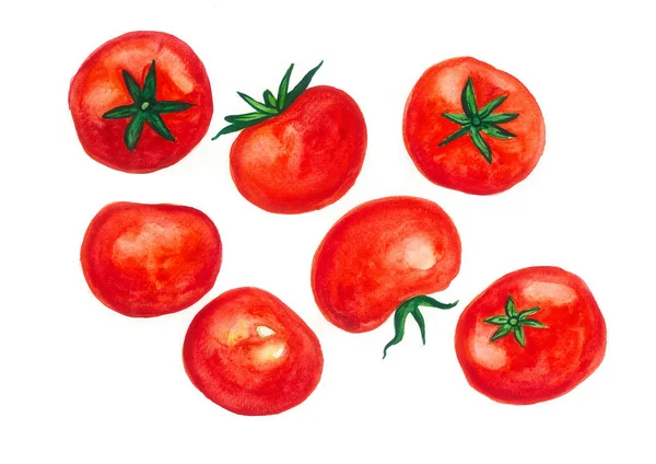 Wzór Czerwonych Pomidorów Zielonymi Liśćmi Białym Tle Chaotycznie Rozmieszczone Różnych — Zdjęcie stockowe