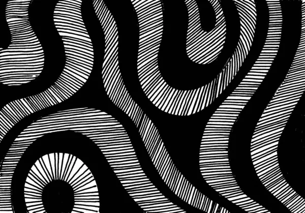 Fondo Blanco Negro Abstracto Líneas Redondeadas Curvas Trazos Rayas Negras —  Fotos de Stock