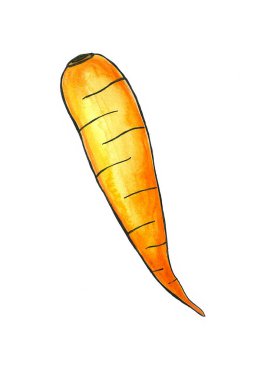 Beyaz arka planda izole edilmiş siyah çizgili turuncu bir havuç çizimi. Suluboya bulanıklığı.